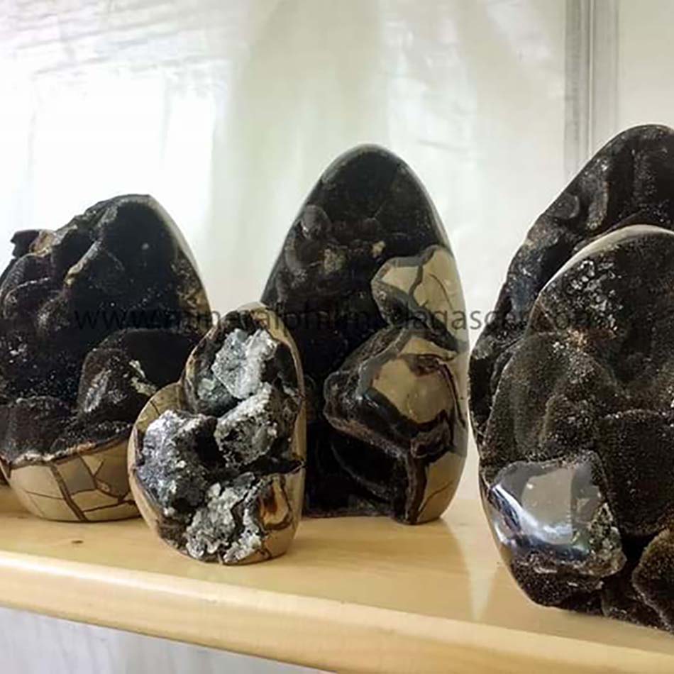 small black septarian